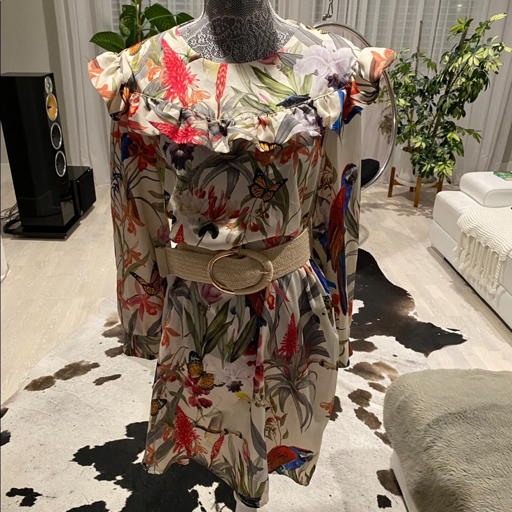 Vicolo butterfly dress medium new